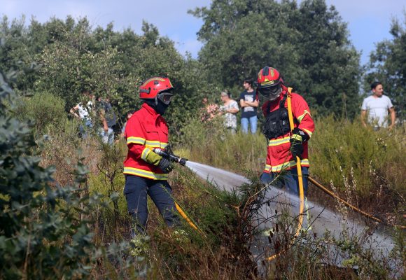 Quatro dezenas de operacionais combatem incêndio em eucaliptal em Alpiarça