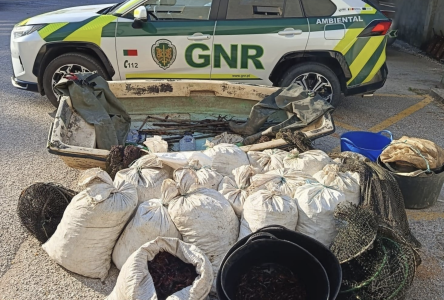 GNR deteta pesca ilegal e detém homem por posse de arma proibida
