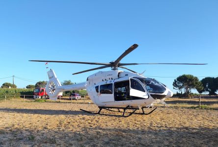Mulher não resiste a queda de cavalo