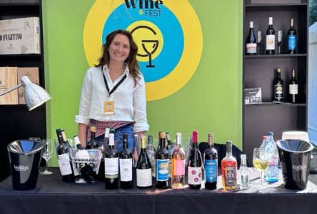 Vinhos do Tejo conquistam visitantes no Guarda Wine Fest