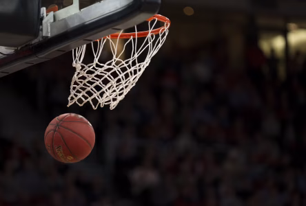 O basquetebol português nunca esteve tão vivo: de Neemias Queta ao histórico EuroBasket
