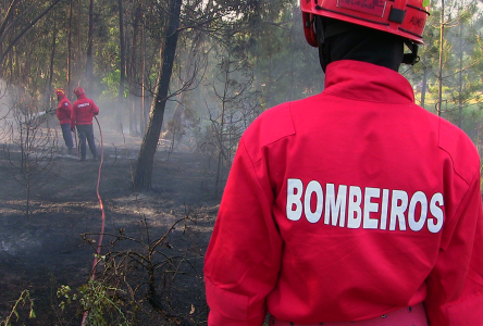 Proteção Civil alerta para risco máximo de incêndio e recomenda medidas preventivas