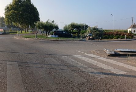 Despiste destrói árvore e danifica rotunda da Circular Urbana de Almeirim
