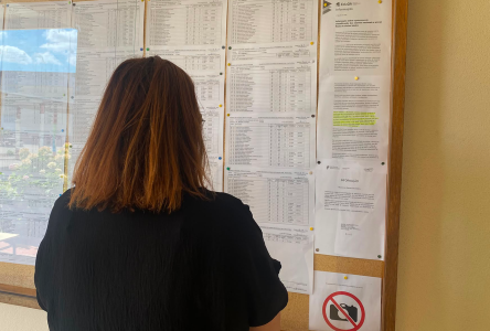 Resultados das provas do 9.º ano já foram afixados em Fazendas de Almeirim