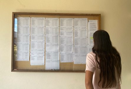 Pautas do 9.º ano já estão afixadas no Agrupamento de Escolas de Almeirim